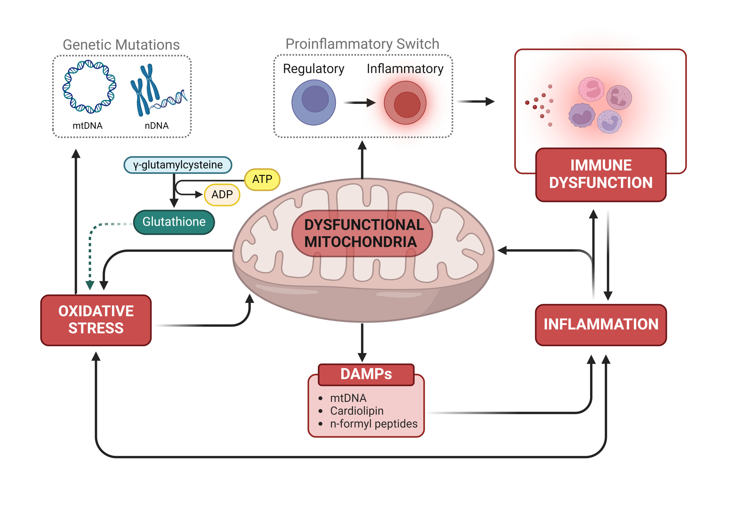 nod fig 9, terrible trio