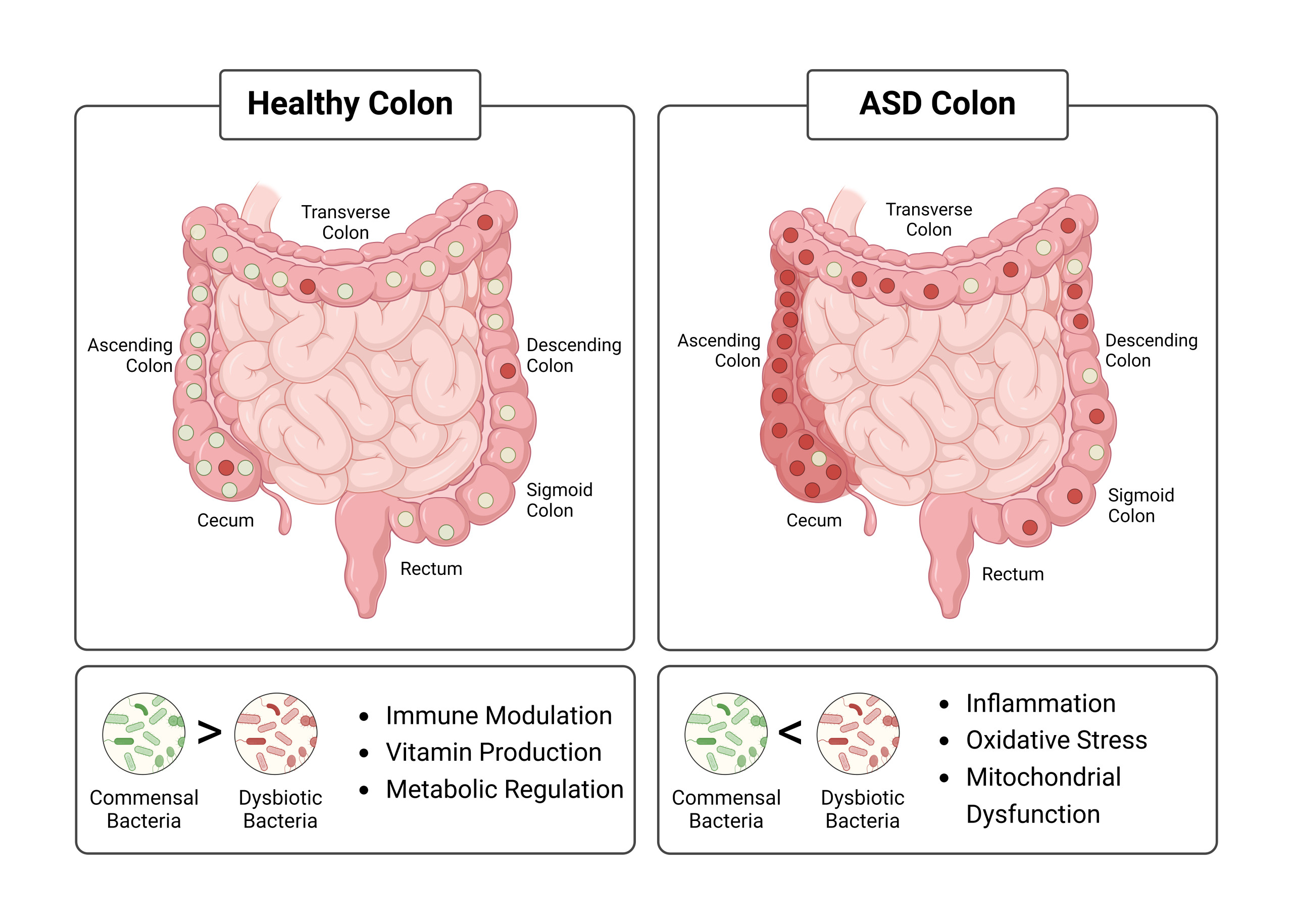 nod fig8, gut microbiome