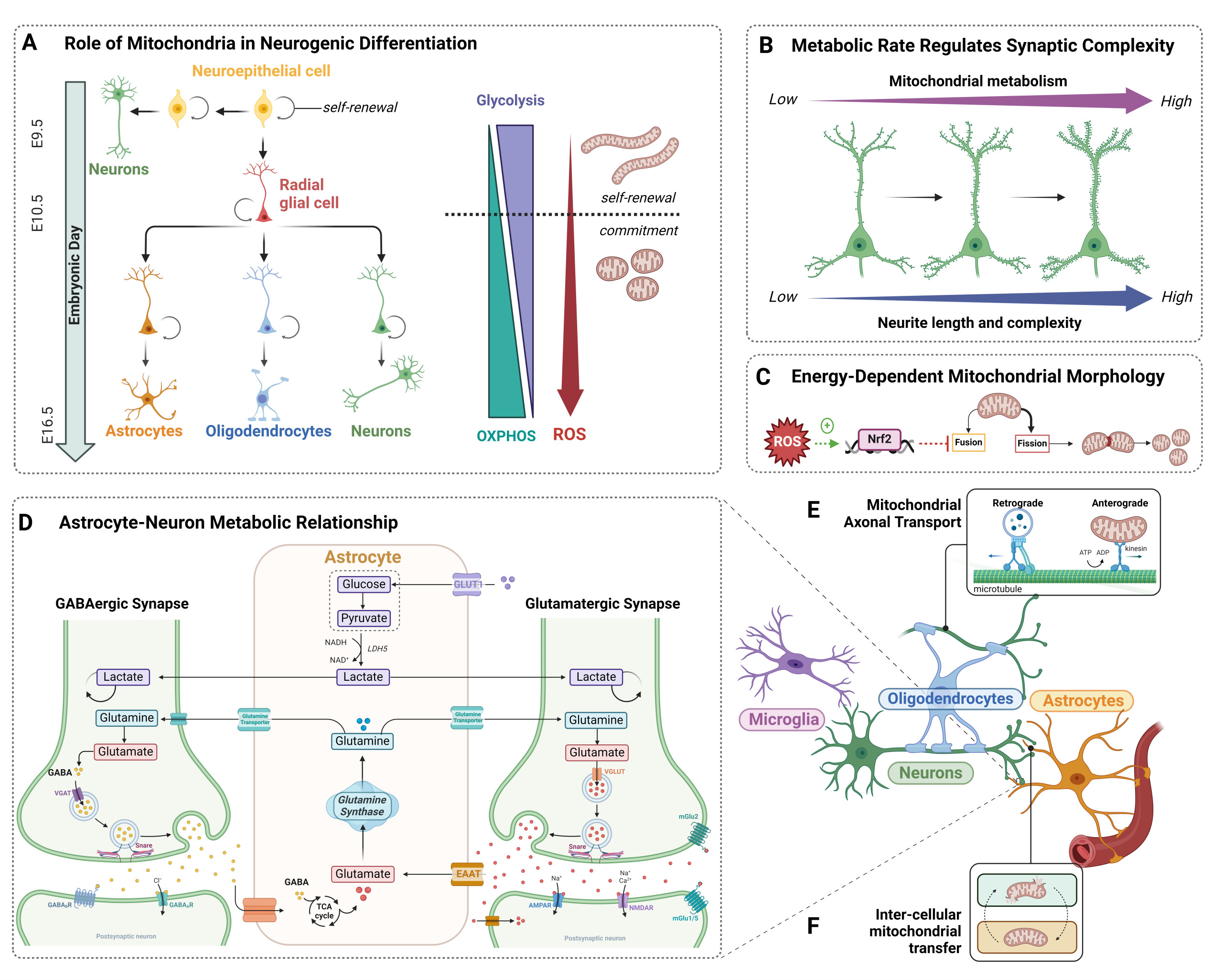neurobiology of disease figure
